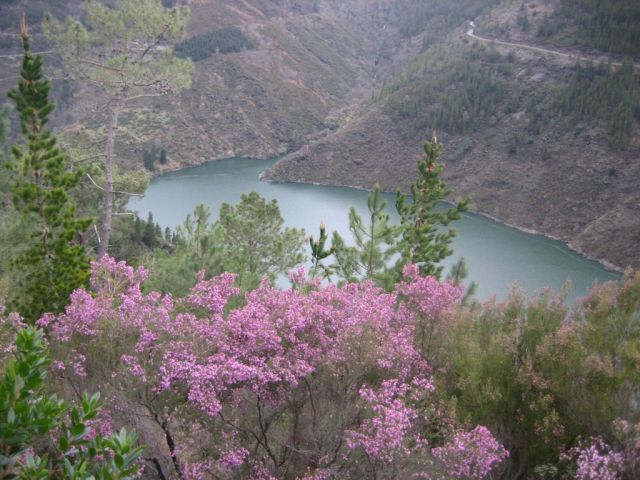 Camino am Stausee von Grandas de Salime